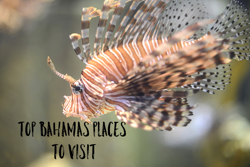 top bahamas places to visit