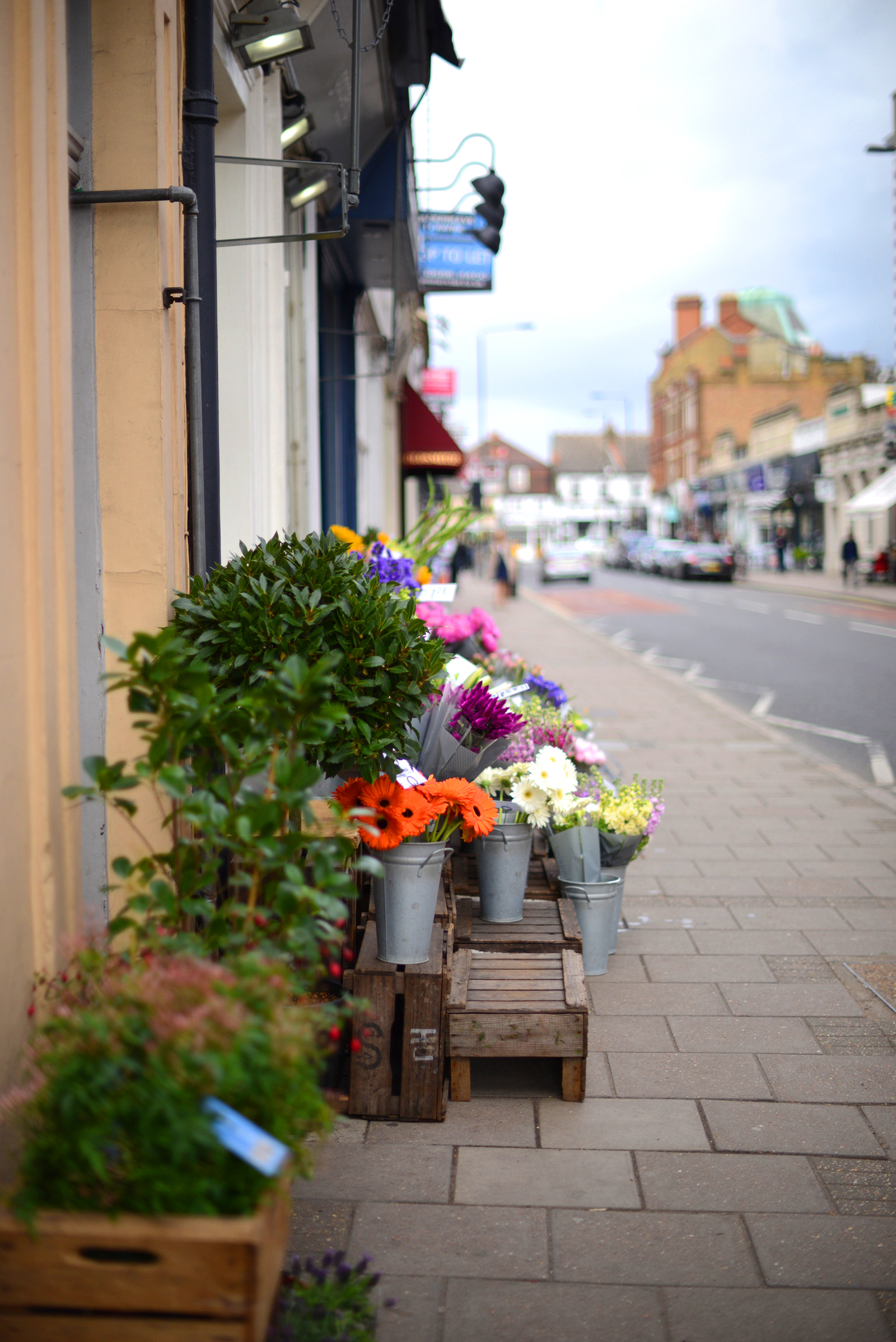 wimbledon shopping guide