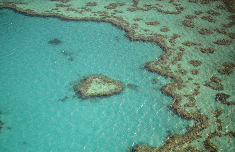 one & only hayman island