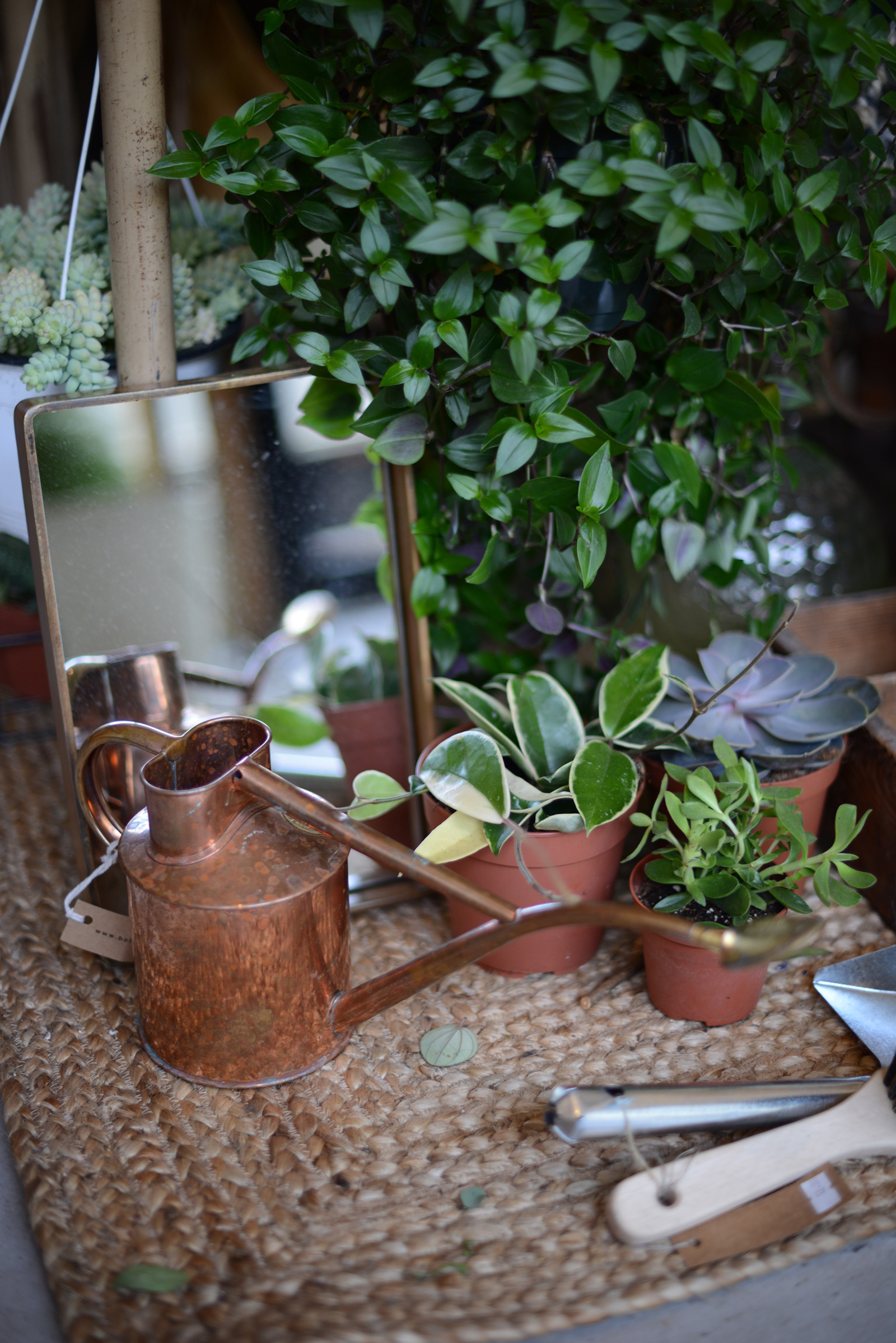 clapton shopping guide with lifestyle bloggers sara delaney and julia rebaudo featuring plant store botany on Chatsworth road