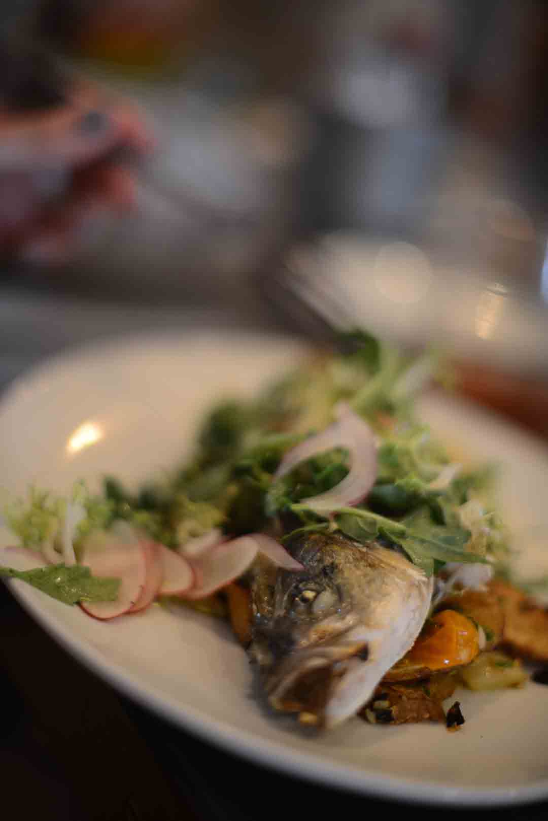 fish at blue plate oysterette restaurant in santa monica photographed by sara delaney