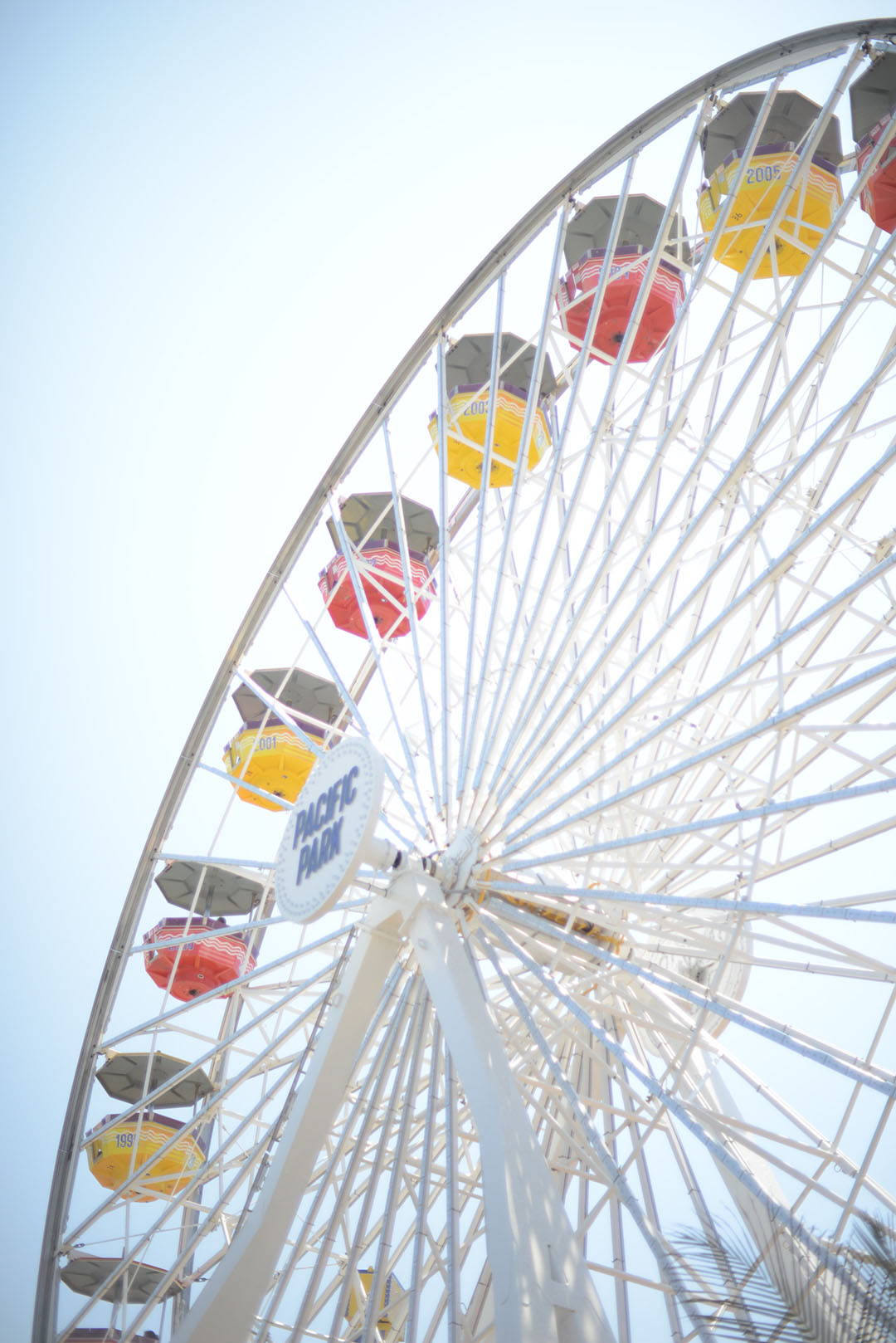 ferris wheel at santa monica pier photographed by sara delaney