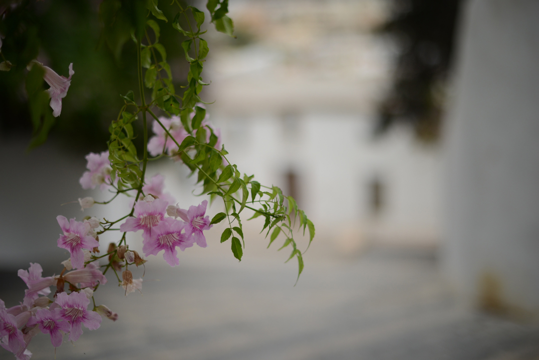 ibiza old town photographed by sara delaney