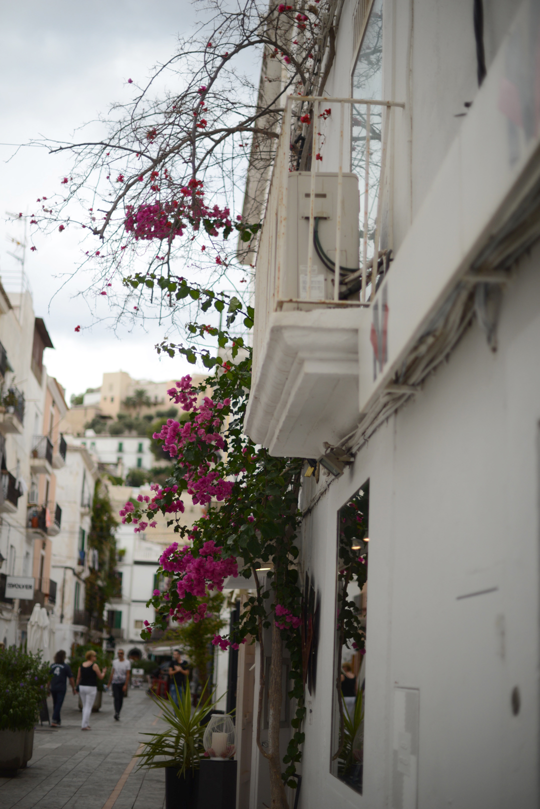 ibiza old town photographed by sara delaney