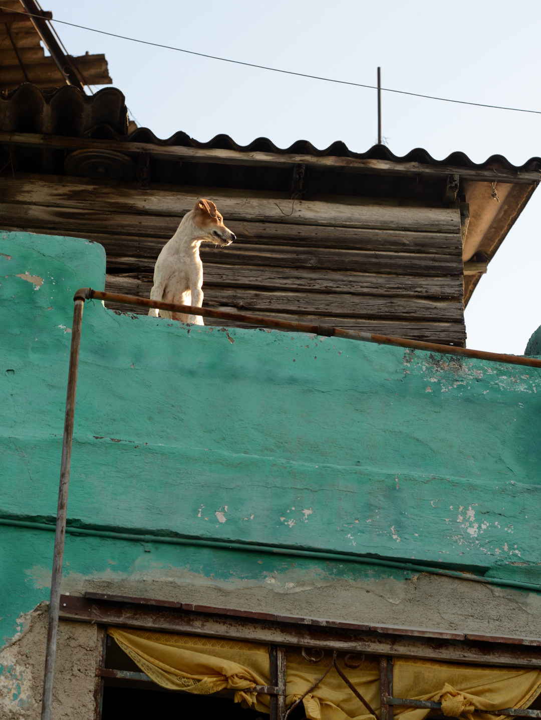 havana cuba photographed by max delaney