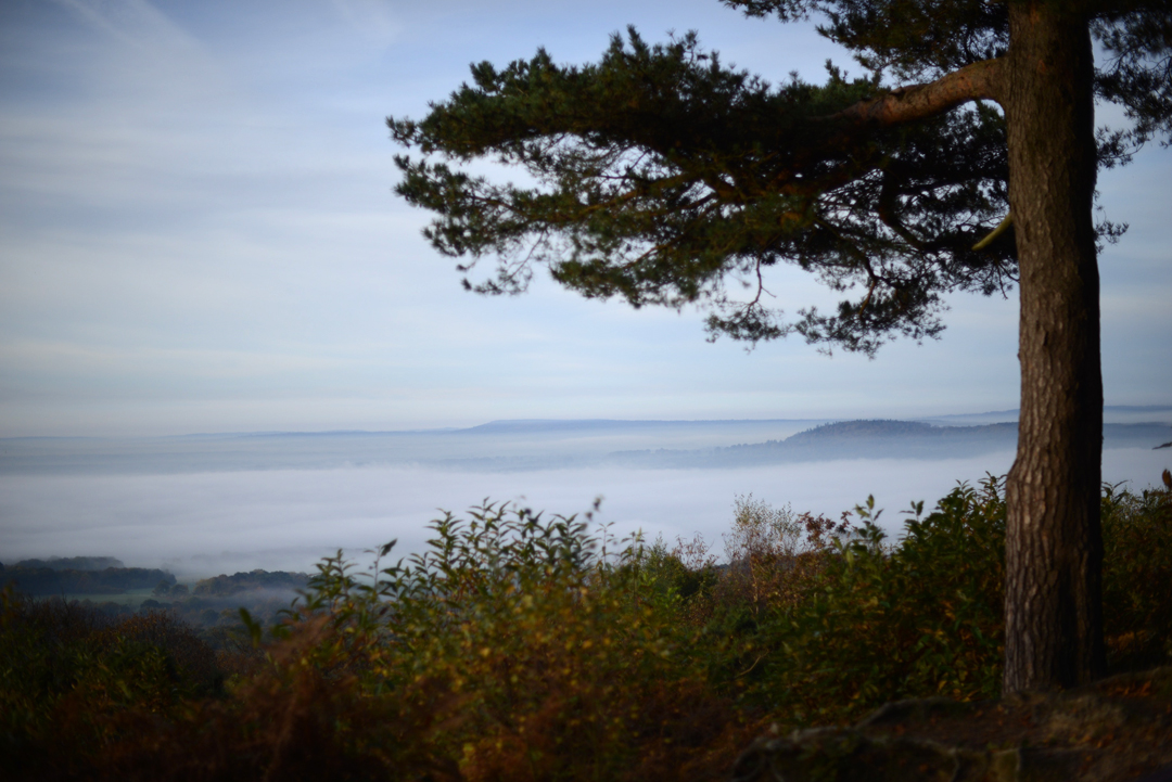 winterfold surrey hills