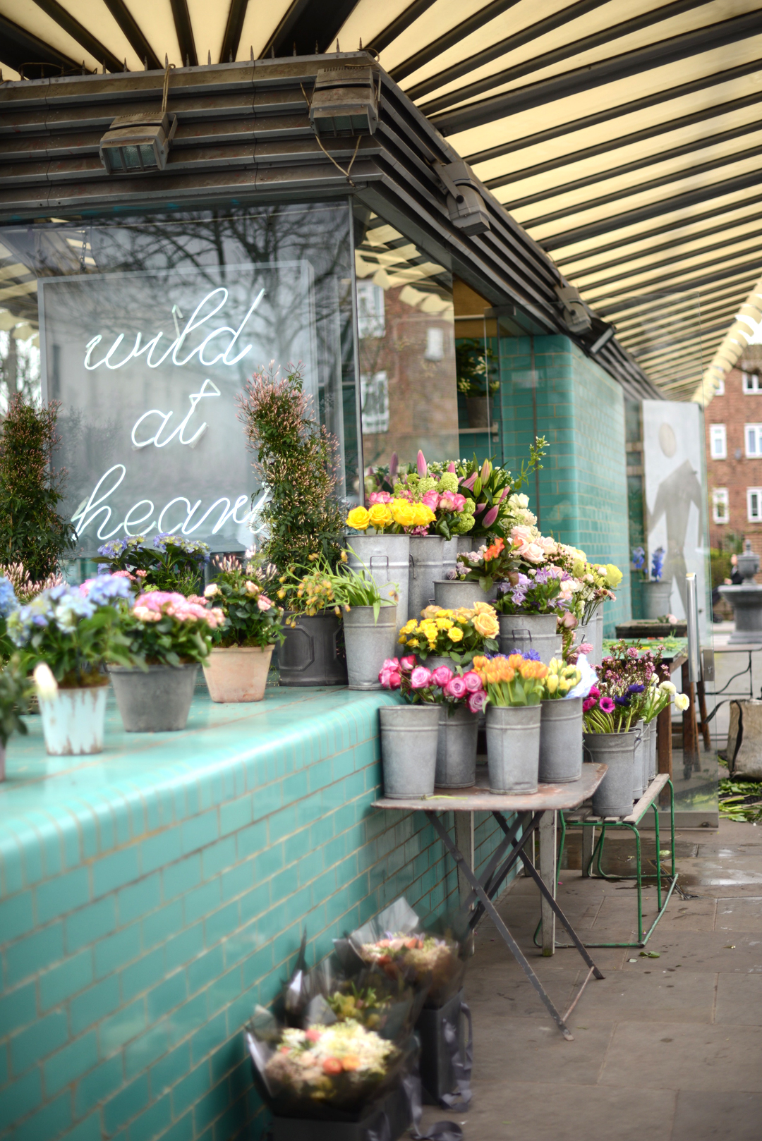 nikki tibbles wild at heart florist photographed by stylist and fashion blogger sara delaney