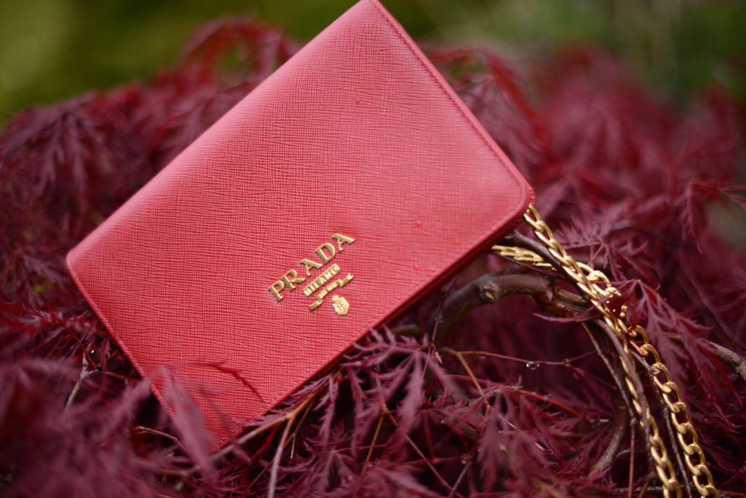 summer clutch edit photographed by sara delaney