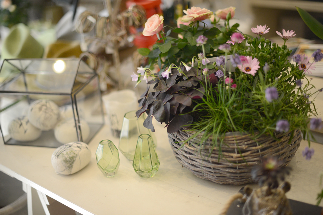 judy green's garden store for notes from a stylist Hampstead shopping guide with anna hart