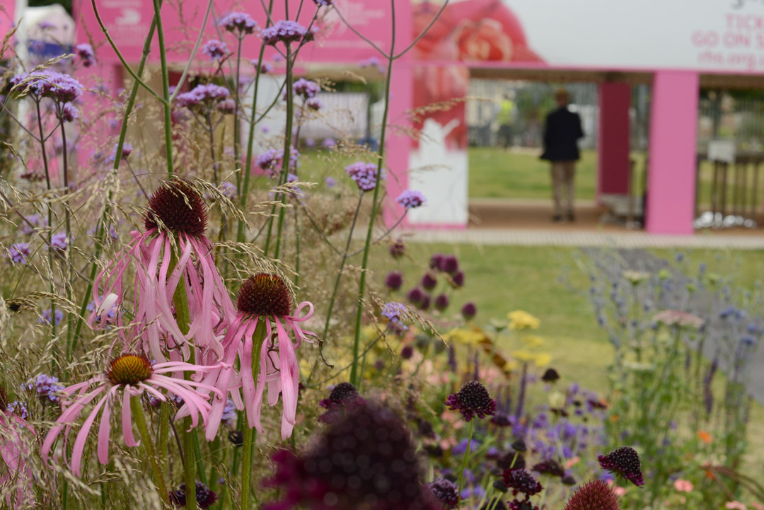 rhs-hampton-court-palace-flower-show-2017-notesfromastylist