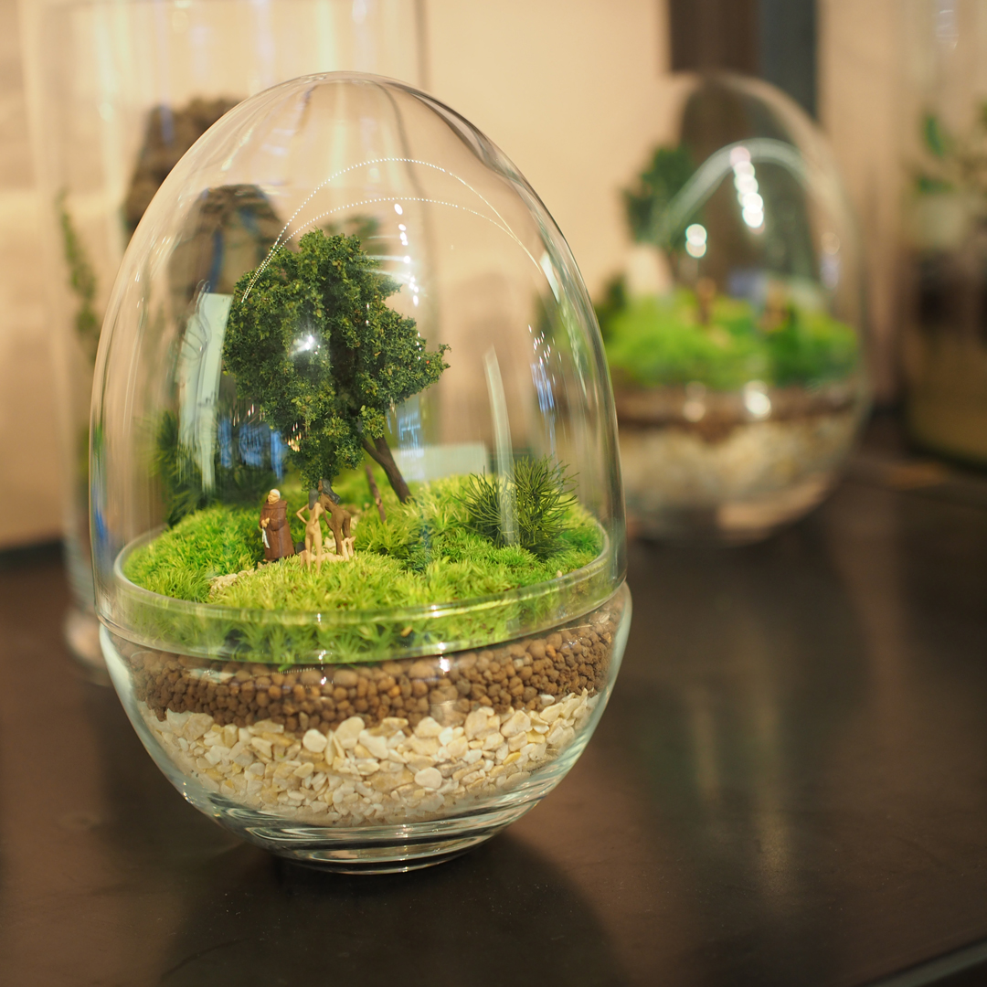 terrarium-trends-notesfromastylist