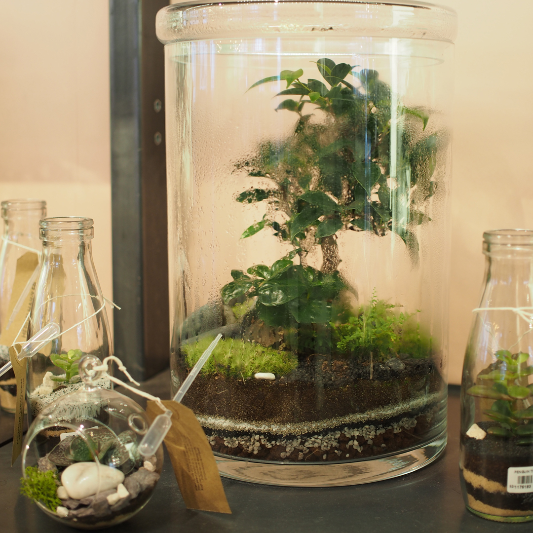 terrarium-trends-notesfromastylist