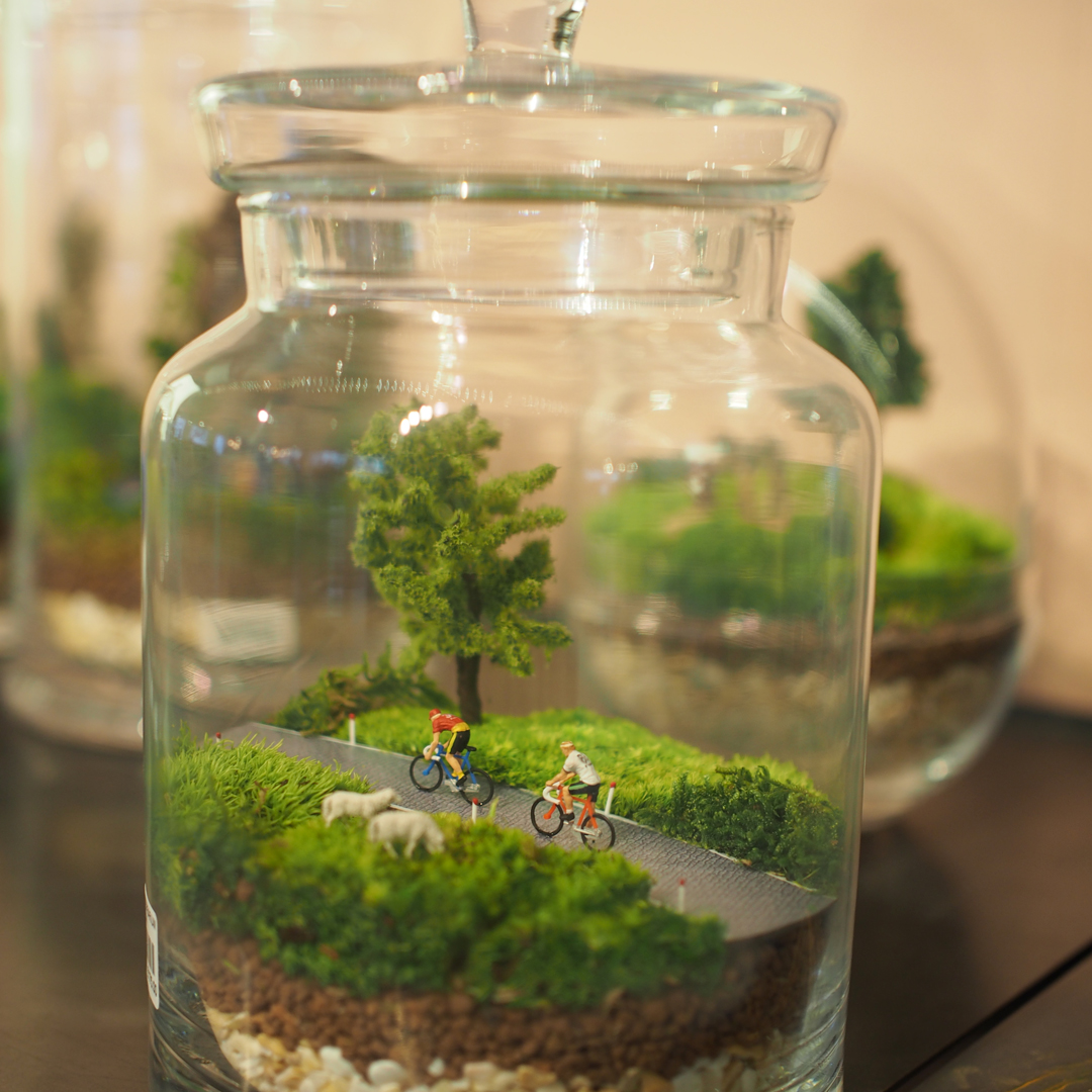 terrarium-trends-notesfromastylist