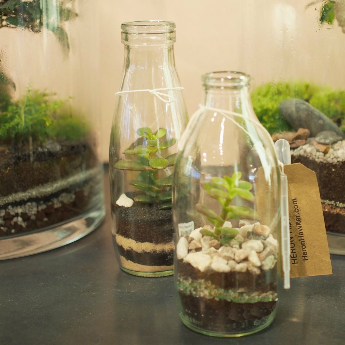 terrarium-trends-notesfromastylist