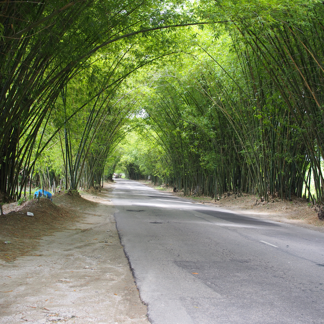 jamaica-travel-notesfromastylist