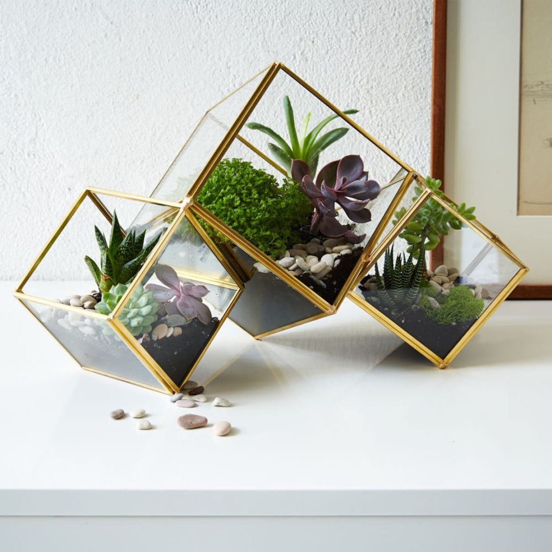 terrarium-trends-notesfromastylist