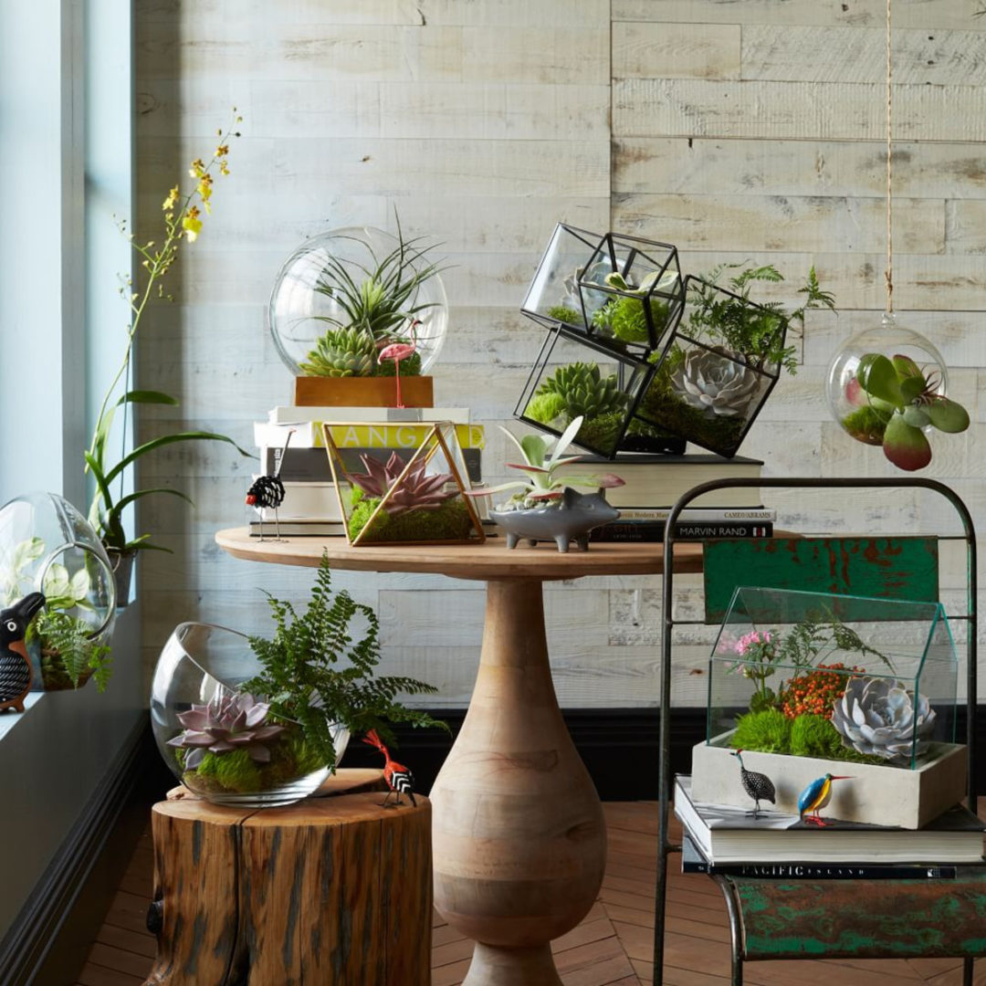 terrarium-trends-notesfromastylist