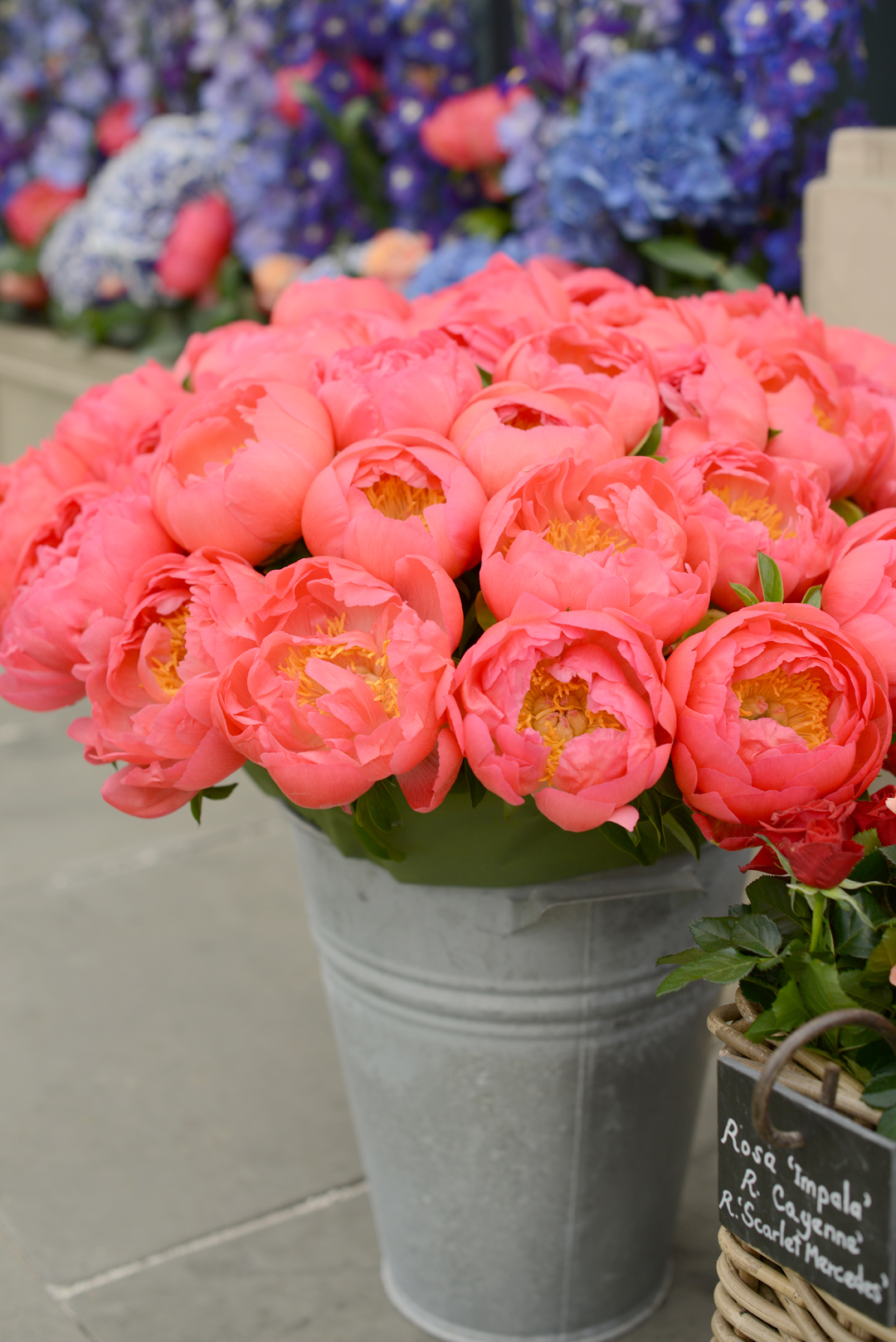 RHS-chelsea-flower-show-notesfromastylist