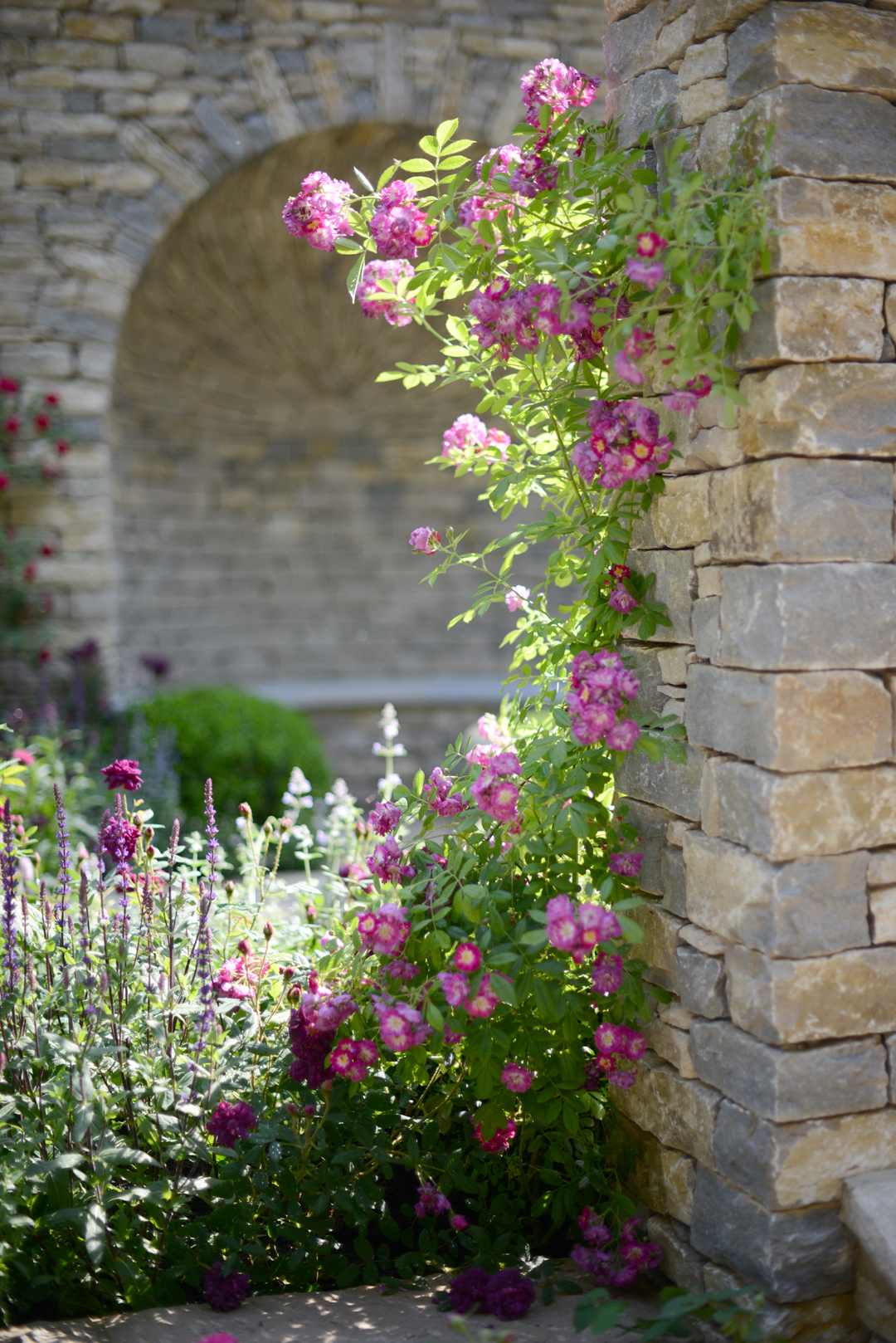 rhs-chelsea-flower-show-notesfromastylist