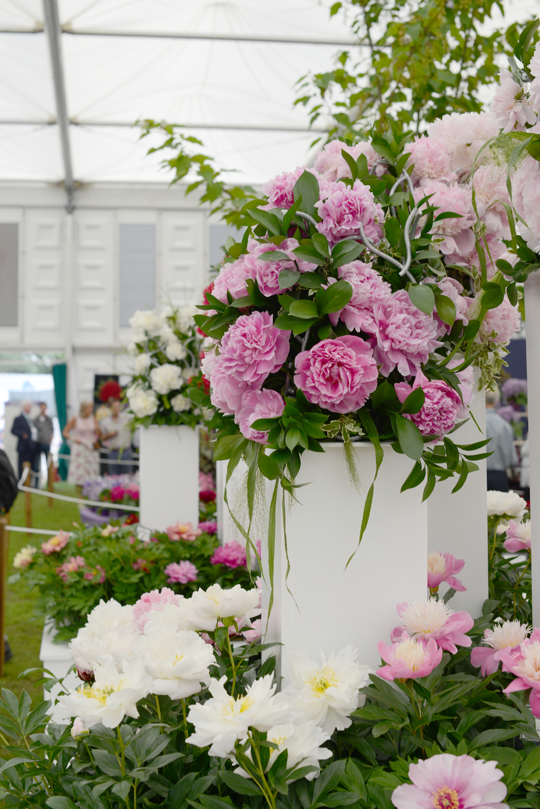 RHS-chelsea-flower-show-notesfromastylist