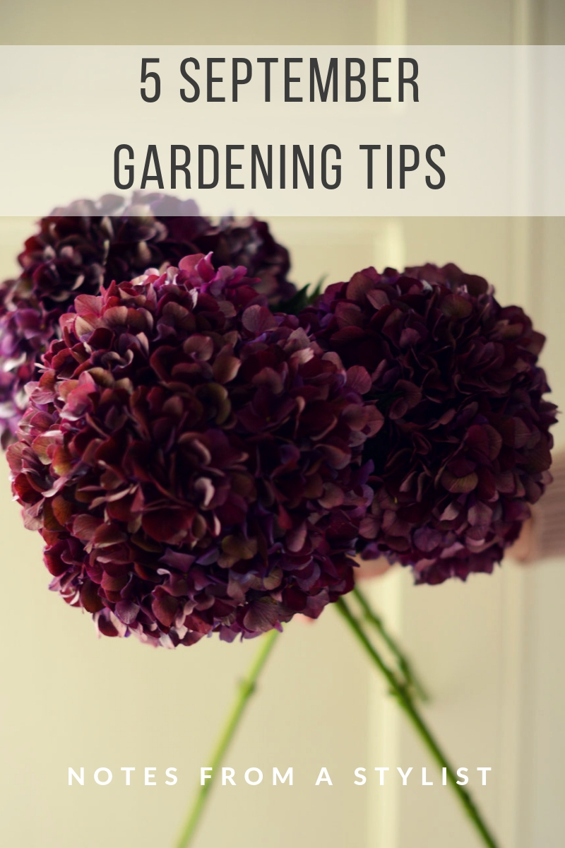 5-september-gardening-tips-notesfromastylist