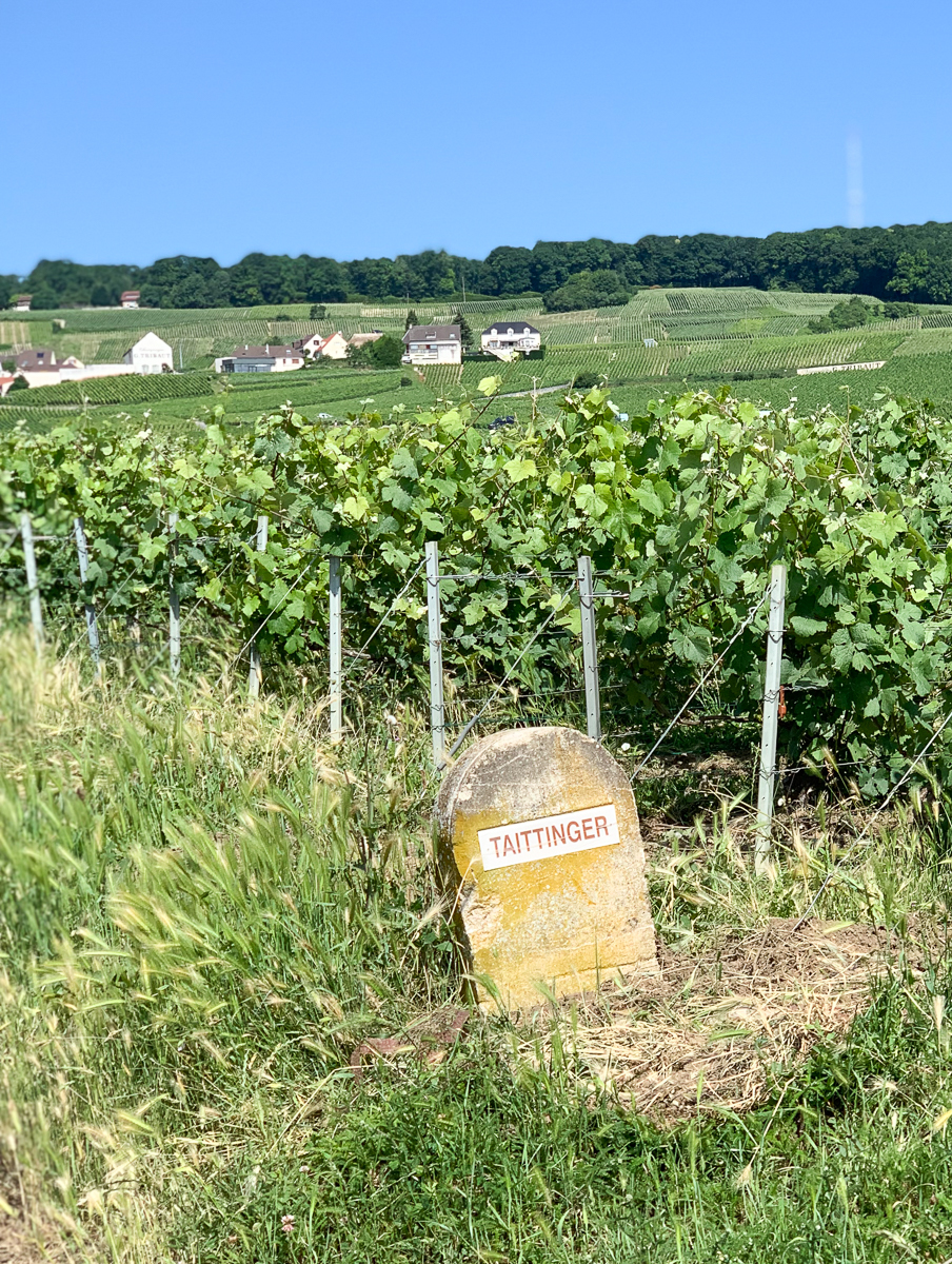 3 top things to do in the champagne region - notes from a stylist