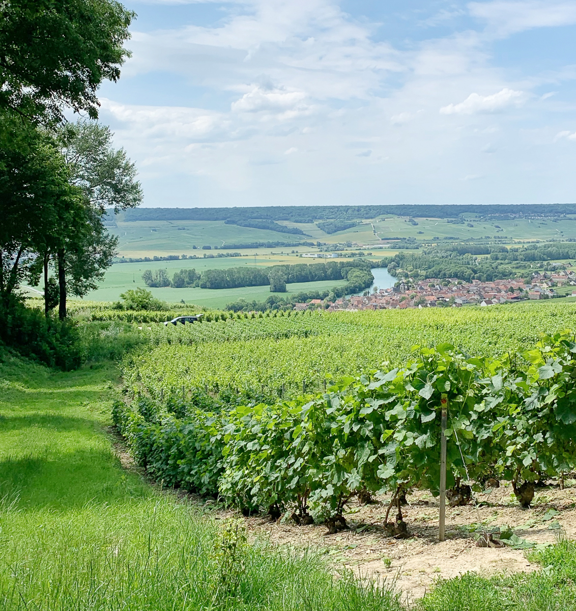 3 top things to do in the champagne region - notes from a stylist