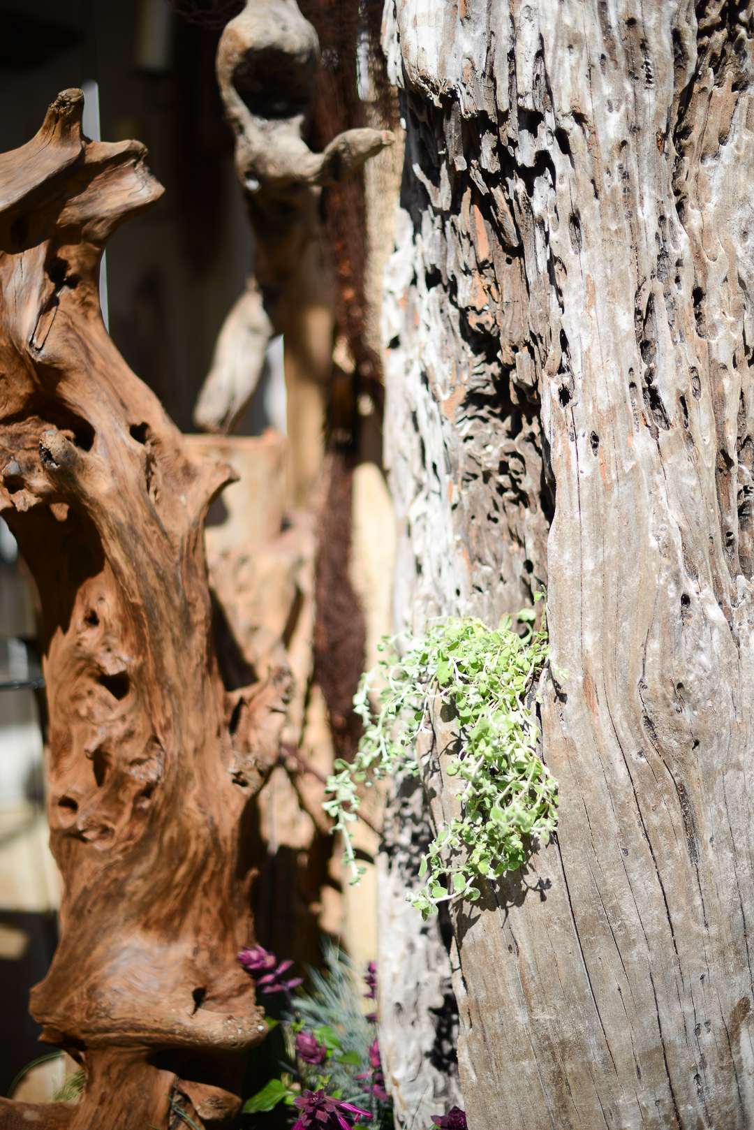 RHS Hampton Court 2019 - notes from a stylist